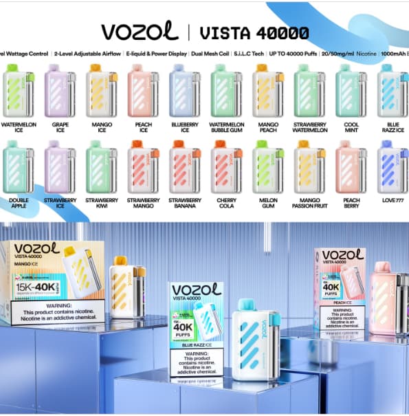 VOZOL Vista 40000 Pwff